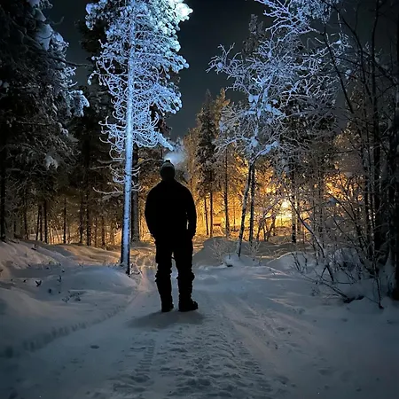 度假居 Koselig I Pasvikdalen