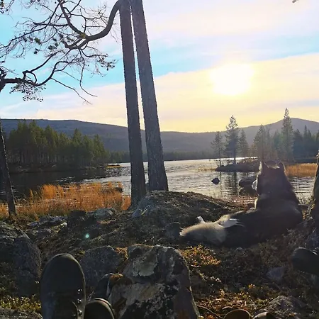 Koselig I Pasvikdalen *
