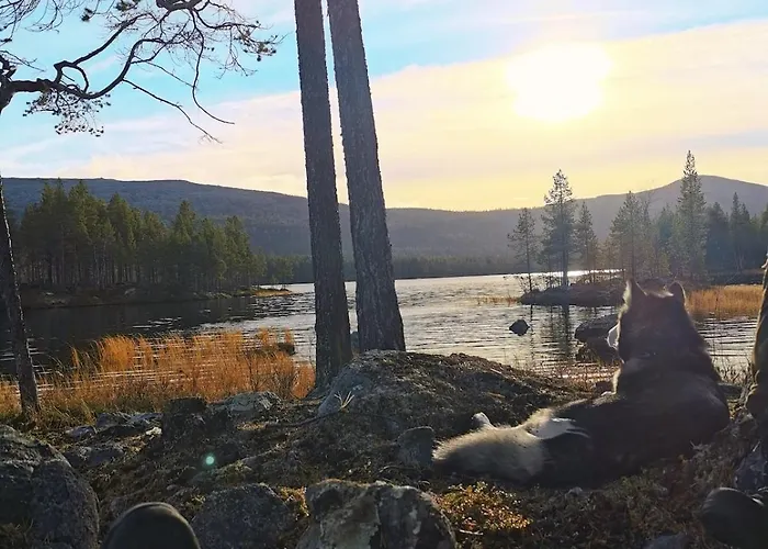 Koselig I Pasvikdalen *