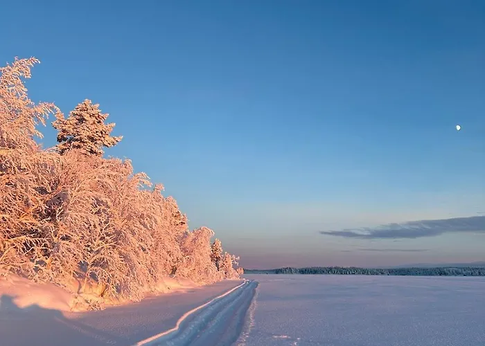 Дом отдыха Koselig I Pasvikdalen