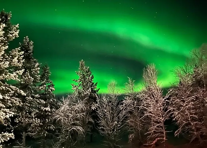 Дом отдыха Koselig I Pasvikdalen